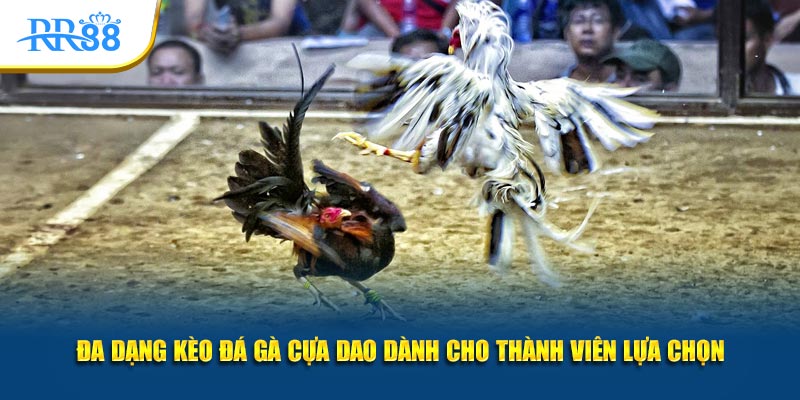Đa dạng kèo đá gà cựa dao dành cho thành viên lựa chọn