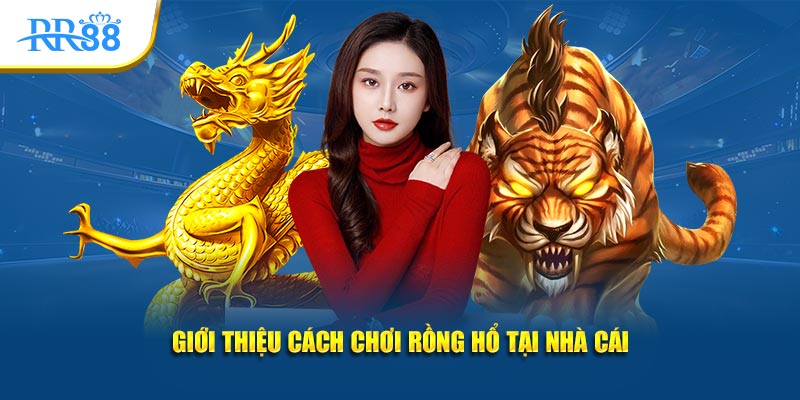 Giới thiệu cách chơi Rồng Hổ tại nhà cái